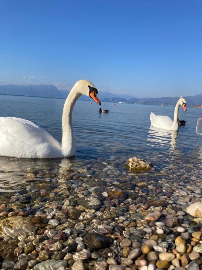 Garda Art&Lake Peschiera del Garda Luaran gambar